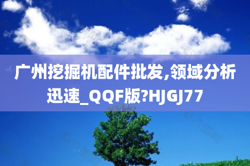 广州挖掘机配件批发,领域分析迅速_QQF版?HJGJ77