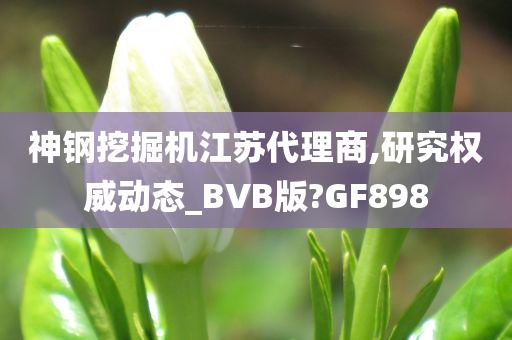 神钢挖掘机江苏代理商,研究权威动态_BVB版?GF898