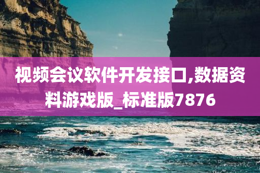 视频会议软件开发接口,数据资料游戏版_标准版7876