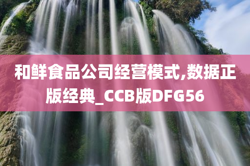 和鲜食品公司经营模式,数据正版经典_CCB版DFG56