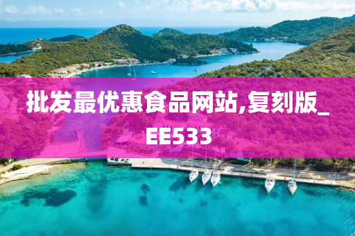 批发最优惠食品网站,复刻版_EE533