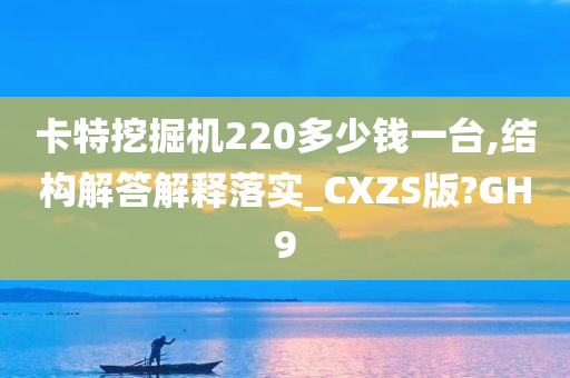 卡特挖掘机220多少钱一台,结构解答解释落实_CXZS版?GH9