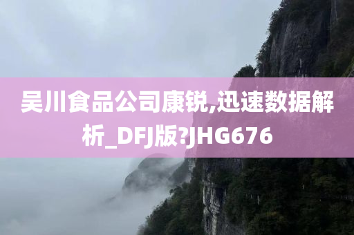 吴川食品公司康锐,迅速数据解析_DFJ版?JHG676