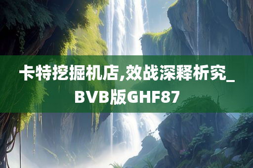 卡特挖掘机店,效战深释析究_BVB版GHF87