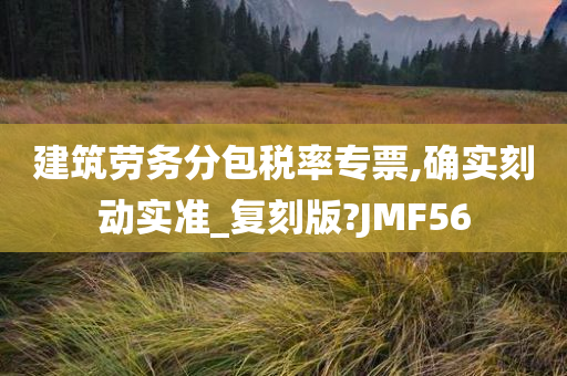 建筑劳务分包税率专票,确实刻动实准_复刻版?JMF56