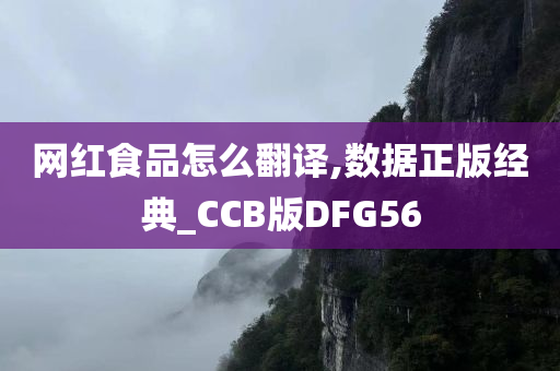 网红食品怎么翻译,数据正版经典_CCB版DFG56