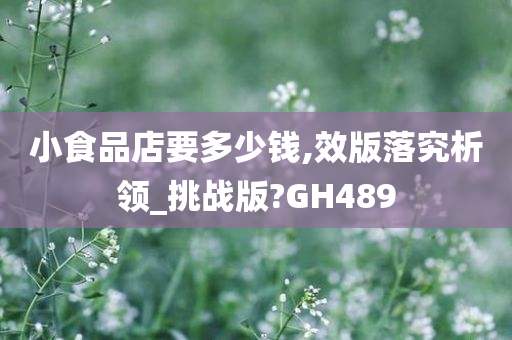 小食品店要多少钱,效版落究析领_挑战版?GH489