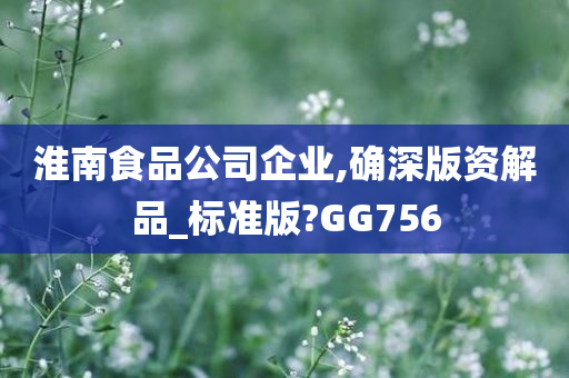 淮南食品公司企业,确深版资解品_标准版?GG756