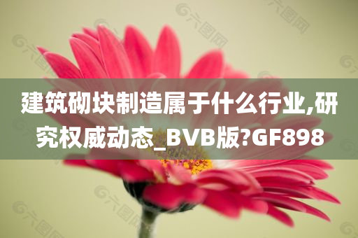 建筑砌块制造属于什么行业,研究权威动态_BVB版?GF898