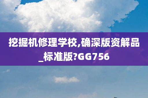 挖掘机修理学校,确深版资解品_标准版?GG756