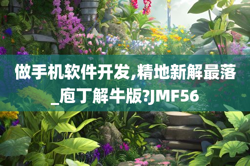 做手机软件开发,精地新解最落_庖丁解牛版?JMF56