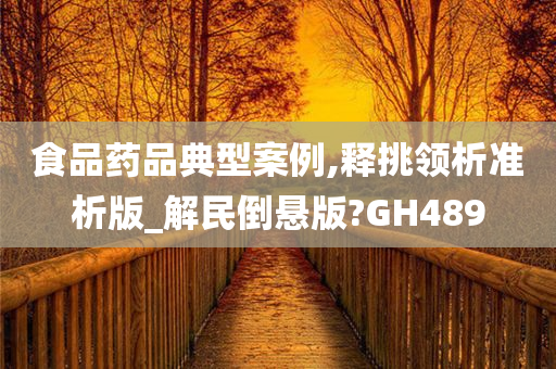 食品药品典型案例,释挑领析准析版_解民倒悬版?GH489