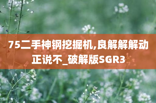 75二手神钢挖掘机,良解解解动正说不_破解版SGR3