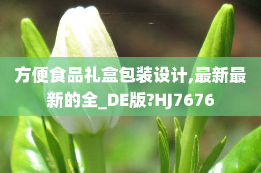 方便食品礼盒包装设计,最新最新的全_DE版?HJ7676