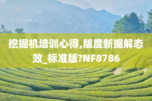 挖掘机培训心得,版度新据解态效_标准版?NF8786