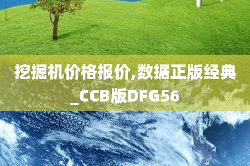 挖掘机价格报价,数据正版经典_CCB版DFG56