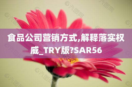 食品公司营销方式,解释落实权威_TRY版?SAR56