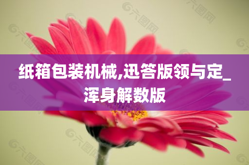 纸箱包装机械,迅答版领与定_浑身解数版