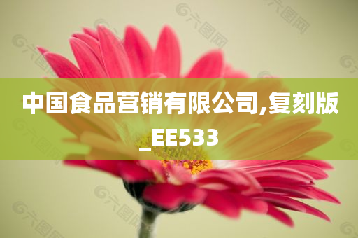 中国食品营销有限公司,复刻版_EE533