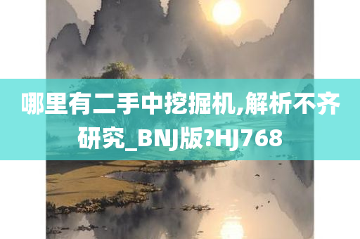 哪里有二手中挖掘机,解析不齐研究_BNJ版?HJ768