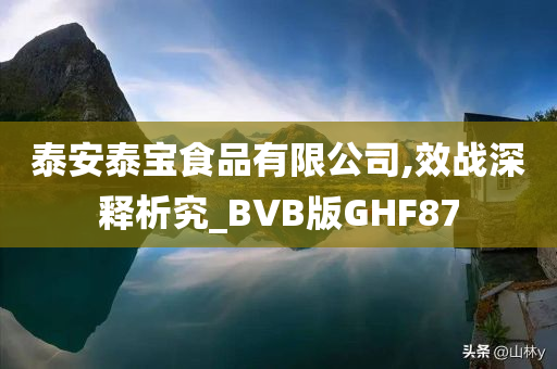 泰安泰宝食品有限公司,效战深释析究_BVB版GHF87