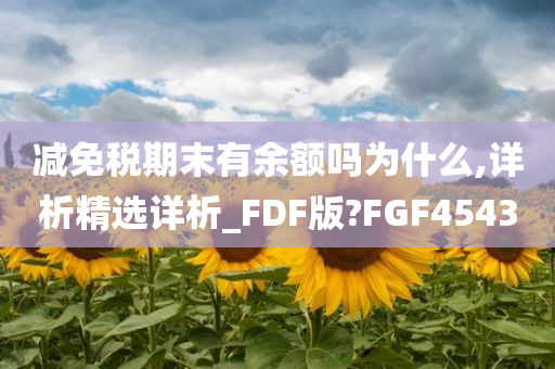 减免税期末有余额吗为什么,详析精选详析_FDF版?FGF4543