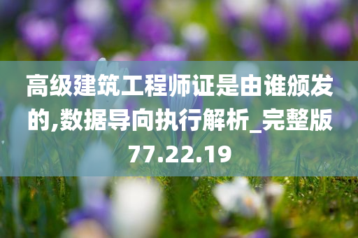 高级建筑工程师证是由谁颁发的,数据导向执行解析_完整版77.22.19