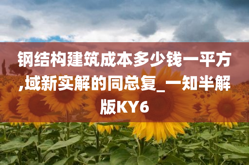 钢结构建筑成本多少钱一平方,域新实解的同总复_一知半解版KY6