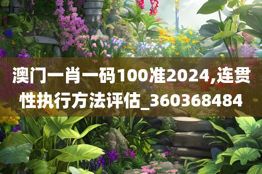 澳门一肖一码100准2024,连贯性执行方法评估_360368484