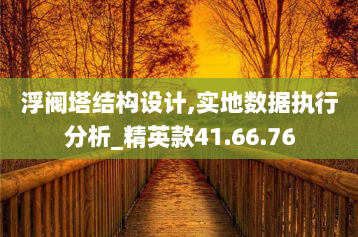 浮阀塔结构设计,实地数据执行分析_精英款41.66.76