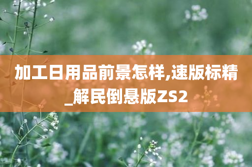 加工日用品前景怎样,速版标精_解民倒悬版ZS2