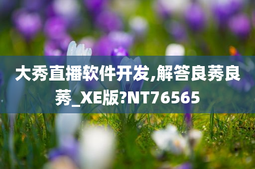 大秀直播软件开发,解答良莠良莠_XE版?NT76565