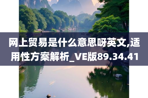 网上贸易是什么意思呀英文,适用性方案解析_VE版89.34.41