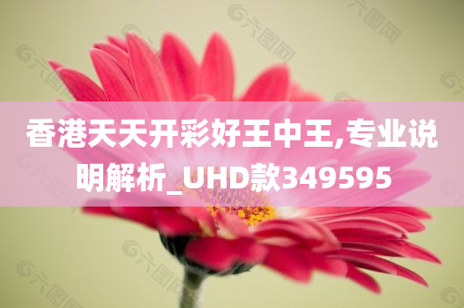 香港天天开彩好王中王,专业说明解析_UHD款349595