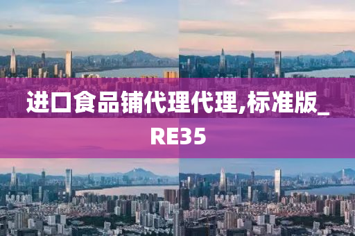 进口食品铺代理代理,标准版_RE35