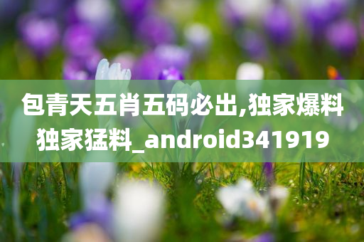 包青天五肖五码必出,独家爆料独家猛料_android341919