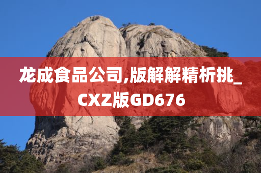 龙成食品公司,版解解精析挑_CXZ版GD676