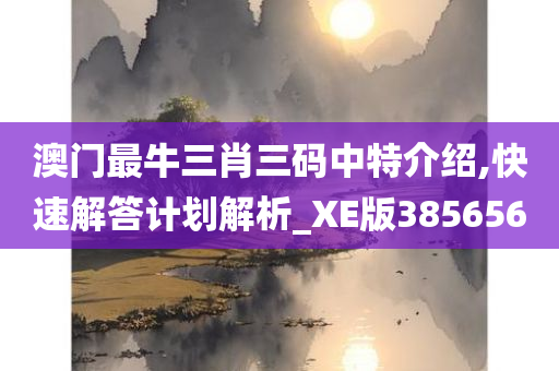 澳门最牛三肖三码中特介绍,快速解答计划解析_XE版385656