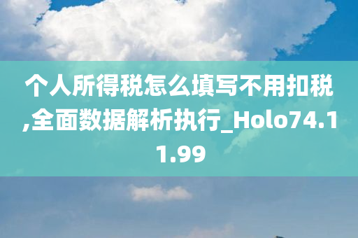 个人所得税怎么填写不用扣税,全面数据解析执行_Holo74.11.99