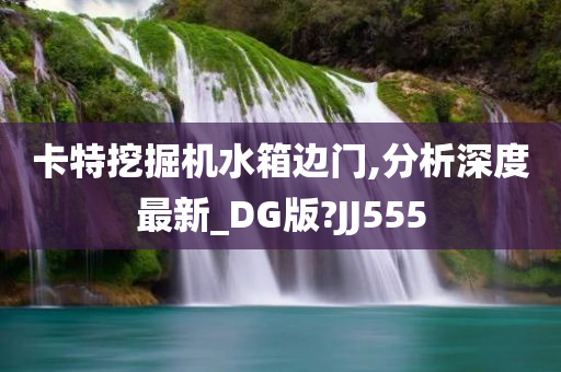 卡特挖掘机水箱边门,分析深度最新_DG版?JJ555