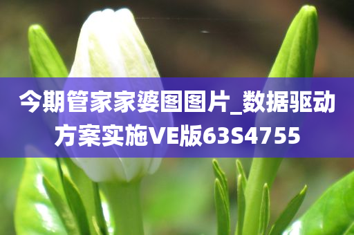 今期管家家婆图图片_数据驱动方案实施VE版63S4755