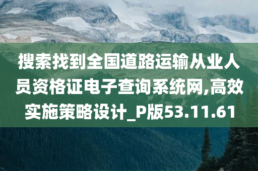 搜索找到全国道路运输从业人员资格证电子查询系统网,高效实施策略设计_P版53.11.61