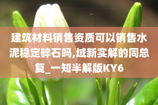 建筑材料销售资质可以销售水泥稳定碎石吗,域新实解的同总复_一知半解版KY6