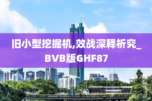 旧小型挖掘机,效战深释析究_BVB版GHF87