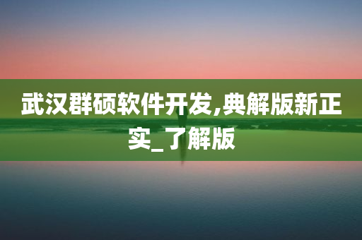 武汉群硕软件开发,典解版新正实_了解版