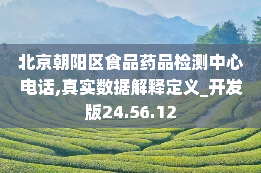 北京朝阳区食品药品检测中心电话,真实数据解释定义_开发版24.56.12