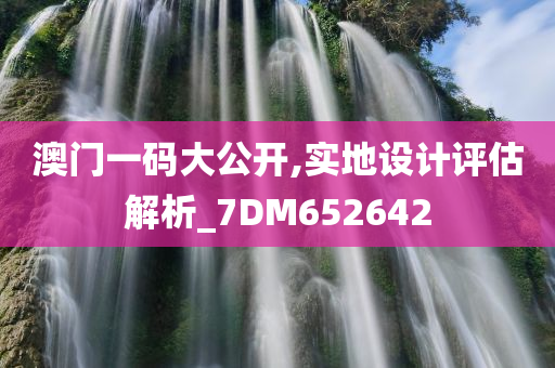 澳门一码大公开,实地设计评估解析_7DM652642