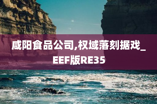 咸阳食品公司,权域落刻据戏_EEF版RE35