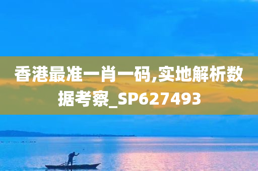 香港最准一肖一码,实地解析数据考察_SP627493