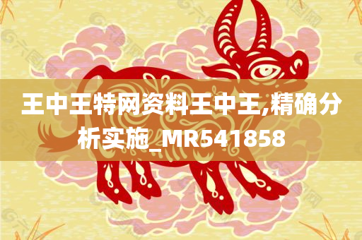 王中王特网资料王中王,精确分析实施_MR541858